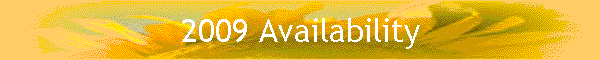 2009 Availability