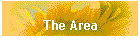 The Area