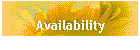Availability