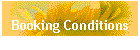 Booking Conditions