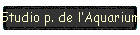 Studio p. de lAquarium