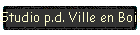 Studio p.d. Ville en Bois