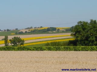 Charente Maritime countryside